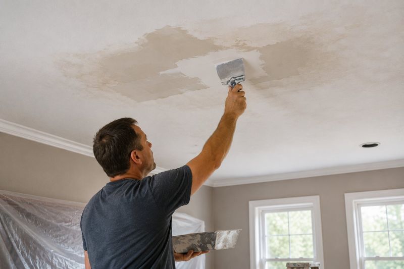 Attic Water Damage Repair in Katy, TX