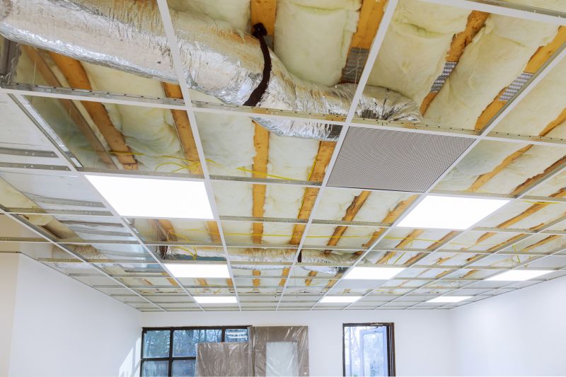 Ceiling Removal Service in Conroe, TX